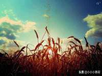 上海市宝山区梦洁水产经营部