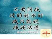 上海市宝山区梦洁水产经营部