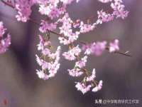 上海市宝山区梦洁水产经营部