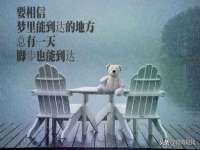 上海市宝山区梦洁水产经营部