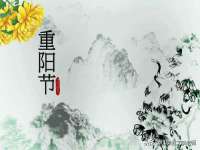 上海市宝山区梦洁水产经营部