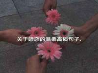 上海市宝山区梦洁水产经营部