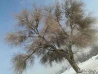 上海市宝山区梦洁水产经营部