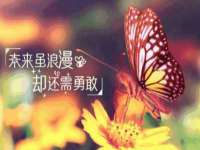 上海市宝山区梦洁水产经营部