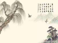 上海市宝山区梦洁水产经营部