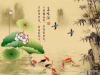 上海市宝山区梦洁水产经营部