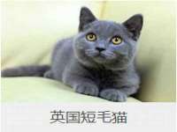 上海市宝山区梦洁水产经营部