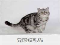 上海市宝山区梦洁水产经营部