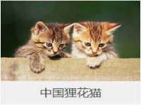 上海市宝山区梦洁水产经营部