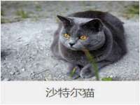 上海市宝山区梦洁水产经营部