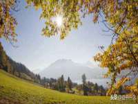 上海市宝山区梦洁水产经营部
