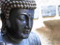 上海市宝山区梦洁水产经营部