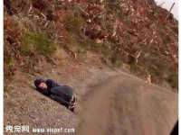 上海市宝山区梦洁水产经营部