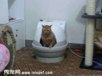 上海市宝山区梦洁水产经营部