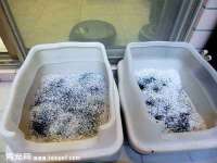 上海市宝山区梦洁水产经营部