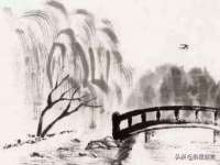上海市宝山区梦洁水产经营部