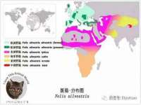 上海市宝山区梦洁水产经营部