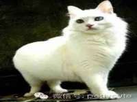 上海市宝山区梦洁水产经营部