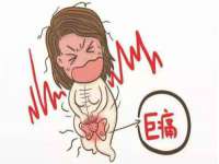 上海市宝山区梦洁水产经营部