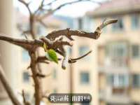 上海市宝山区梦洁水产经营部
