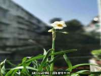 上海市宝山区梦洁水产经营部