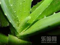 上海市宝山区梦洁水产经营部