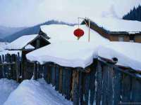 上海市宝山区梦洁水产经营部
