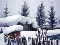 上海市宝山区梦洁水产经营部