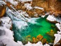 上海市宝山区梦洁水产经营部