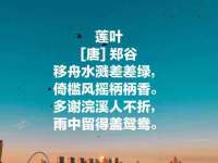 上海市宝山区梦洁水产经营部