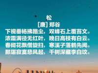 上海市宝山区梦洁水产经营部