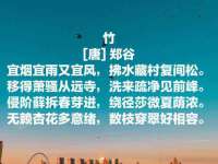 上海市宝山区梦洁水产经营部