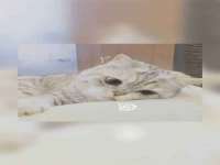 上海市宝山区梦洁水产经营部