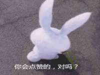 上海市宝山区梦洁水产经营部