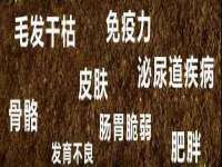 上海市宝山区梦洁水产经营部