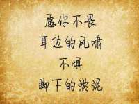 上海市宝山区梦洁水产经营部