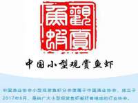 上海市宝山区梦洁水产经营部