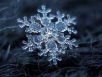 上海市宝山区梦洁水产经营部