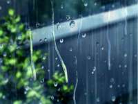 上海市宝山区梦洁水产经营部