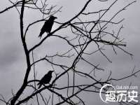 上海市宝山区梦洁水产经营部
