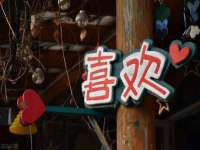上海市宝山区梦洁水产经营部