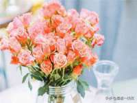 上海市宝山区梦洁水产经营部
