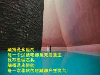 上海市宝山区梦洁水产经营部