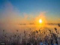 上海市宝山区梦洁水产经营部