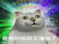 上海市宝山区梦洁水产经营部