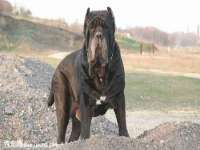 上海市宝山区梦洁水产经营部