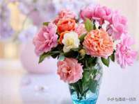上海市宝山区梦洁水产经营部
