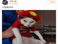上海市宝山区梦洁水产经营部